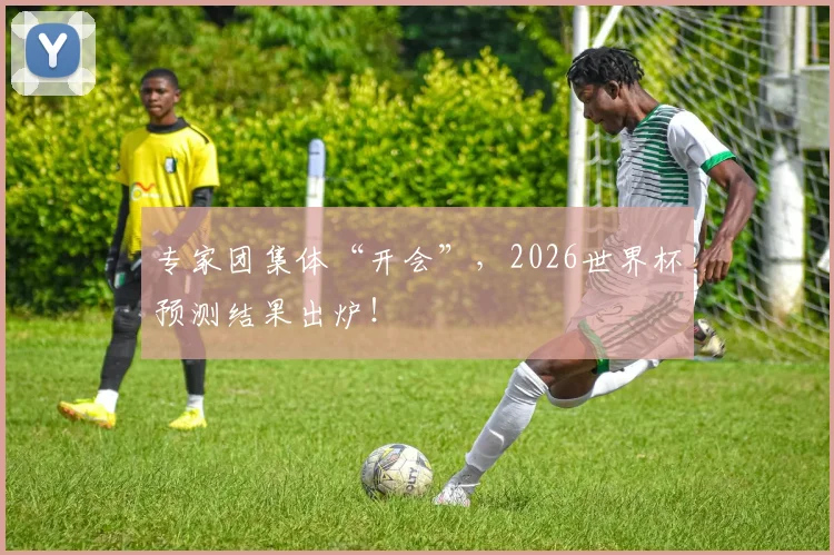 专家团集体“开会”，2026世界杯预测结果出炉！