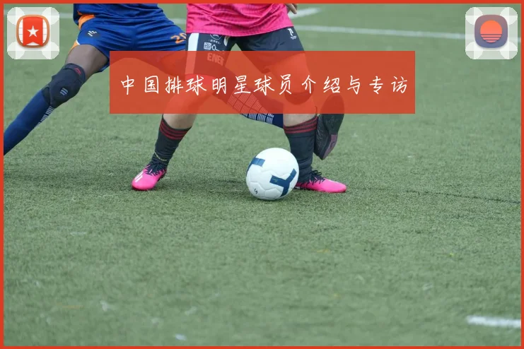 中国排球明星球员介绍与专访