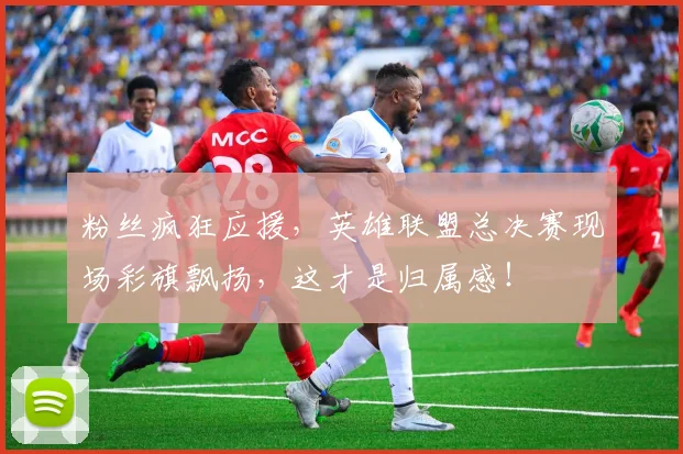 粉丝疯狂应援,英雄联盟总决赛现场彩旗飘扬,这才是归属感!