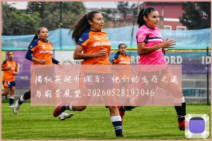 揭秘英超升班马:他们的生存之道与前景展望_20260528193046