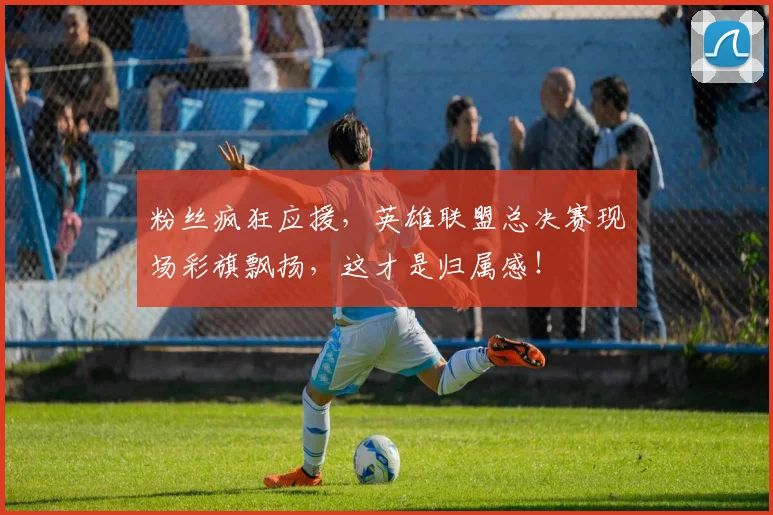 粉丝疯狂应援，英雄联盟总决赛现场彩旗飘扬，这才是归属感！
